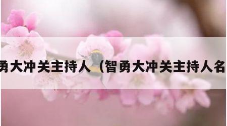 智勇大冲关主持人（智勇大冲关主持人名单）
