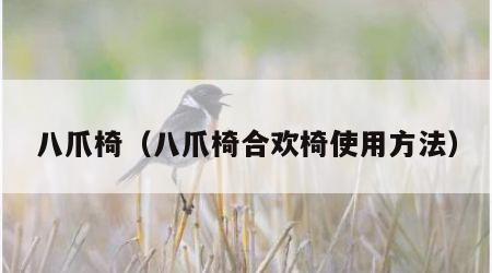 八爪椅（八爪椅合欢椅使用方法）