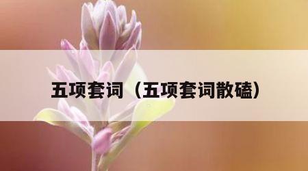 五项套词（五项套词散磕）