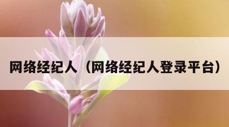网络经纪人（网络经纪人登录平台）