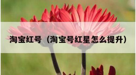 淘宝红号（淘宝号红星怎么提升）