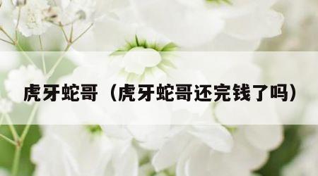 虎牙蛇哥（虎牙蛇哥还完钱了吗）