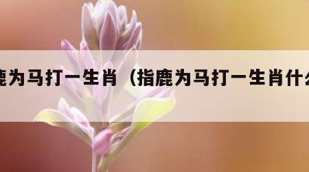 指鹿为马打一生肖（指鹿为马打一生肖什么动物）