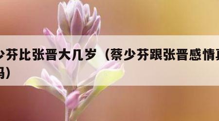 蔡少芬比张晋大几岁（蔡少芬跟张晋感情真的好吗）
