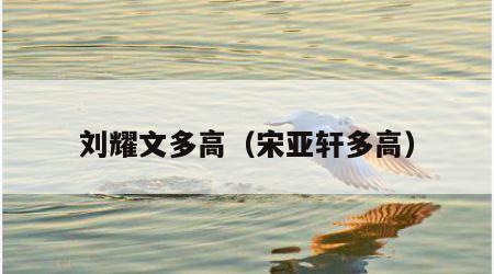 刘耀文多高（宋亚轩多高）