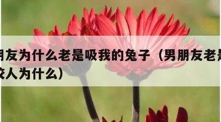 男朋友为什么老是吸我的兔子（男朋友老是喜欢咬人为什么）