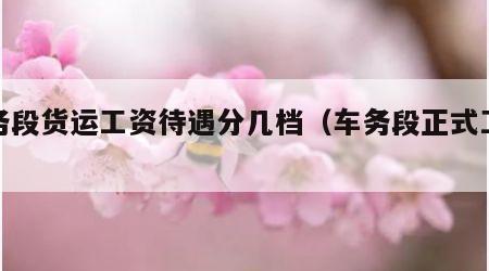 车务段货运工资待遇分几档（车务段正式工待遇）