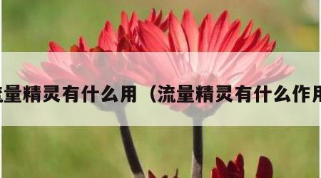 流量精灵有什么用（流量精灵有什么作用）