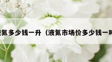 液氮多少钱一升（液氮市场价多少钱一吨）