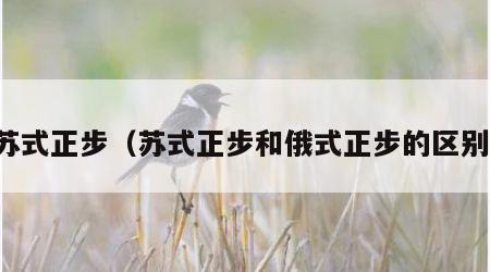 苏式正步（苏式正步和俄式正步的区别）