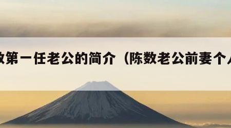 陈数第一任老公的简介（陈数老公前妻个人资料）