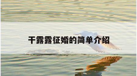 干露露征婚的简单介绍