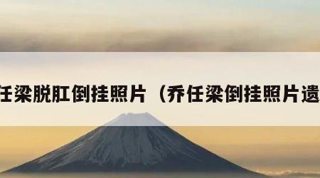 乔任梁脱肛倒挂照片（乔任梁倒挂照片遗照）