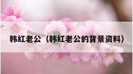 韩红老公（韩红老公的背景资料）