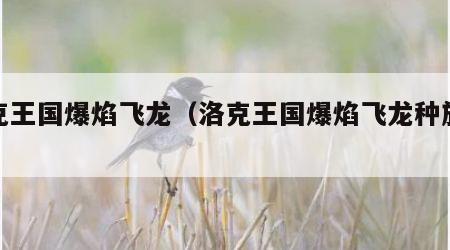 洛克王国爆焰飞龙（洛克王国爆焰飞龙种族值）