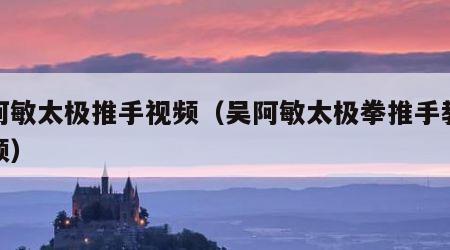 吴阿敏太极推手视频（吴阿敏太极拳推手教学视频）