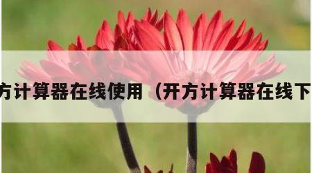 开方计算器在线使用（开方计算器在线下载）
