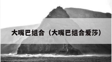 大嘴巴组合（大嘴巴组合爱莎）