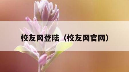 校友网登陆（校友网官网）