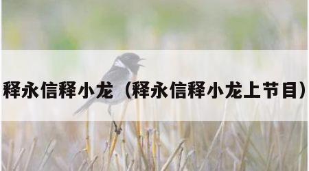 释永信释小龙（释永信释小龙上节目）