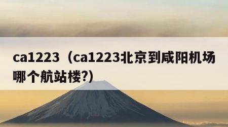ca1223（ca1223北京到咸阳机场哪个航站楼?）