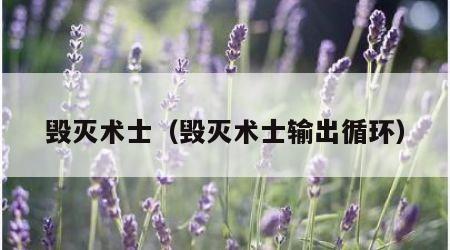 毁灭术士（毁灭术士输出循环）