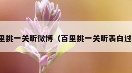 百里挑一关昕微博（百里挑一关昕表白过谁）