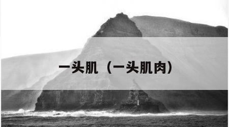 一头肌（一头肌肉）