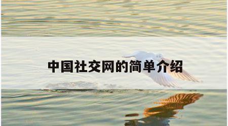 中国社交网的简单介绍