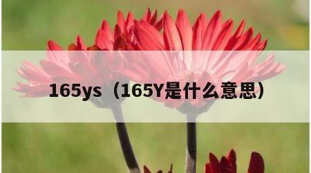 165ys（165Y是什么意思）