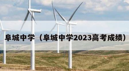 阜城中学（阜城中学2023高考成绩）