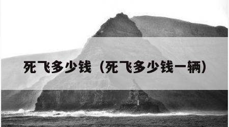 死飞多少钱（死飞多少钱一辆）