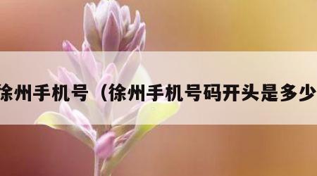 徐州手机号（徐州手机号码开头是多少）
