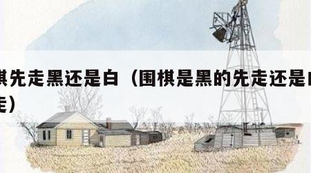 围棋先走黑还是白（围棋是黑的先走还是白的先走）