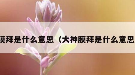 膜拜是什么意思（大神膜拜是什么意思）