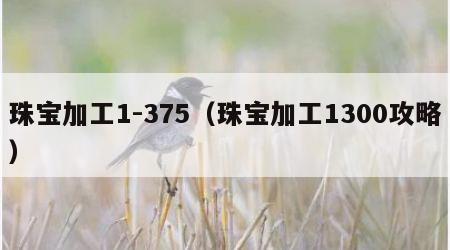 珠宝加工1-375（珠宝加工1300攻略）
