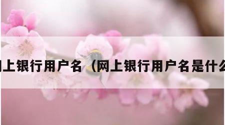 网上银行用户名（网上银行用户名是什么）