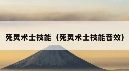 死灵术士技能（死灵术士技能音效）