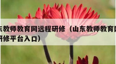 山东教师教育网远程研修（山东教师教育网远程研修平台入口）