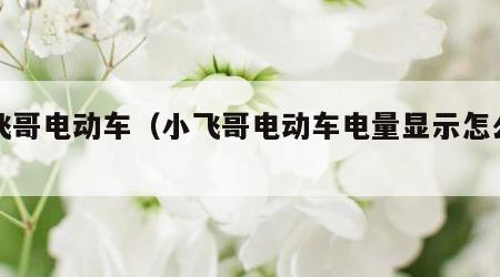 小飞哥电动车（小飞哥电动车电量显示怎么看）