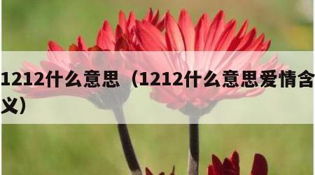 1212什么意思（1212什么意思爱情含义）