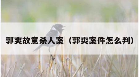 郭爽故意杀人案（郭爽案件怎么判）