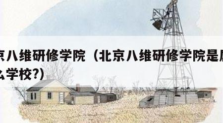 北京八维研修学院（北京八维研修学院是属于什么学校?）
