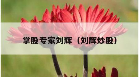 掌股专家刘辉（刘辉炒股）