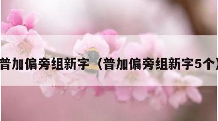 普加偏旁组新字（普加偏旁组新字5个）