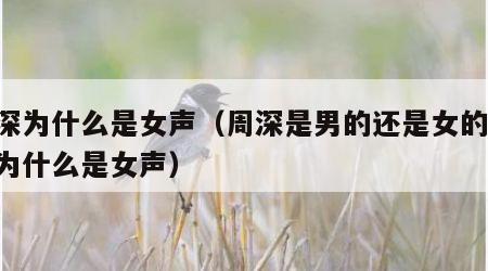 周深为什么是女声（周深是男的还是女的 周深为什么是女声）