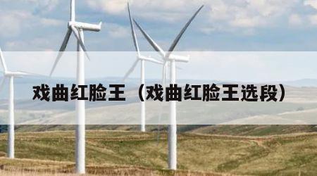戏曲红脸王（戏曲红脸王选段）