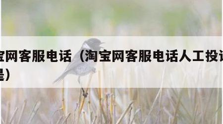 淘宝网客服电话（淘宝网客服电话人工投诉电话是）