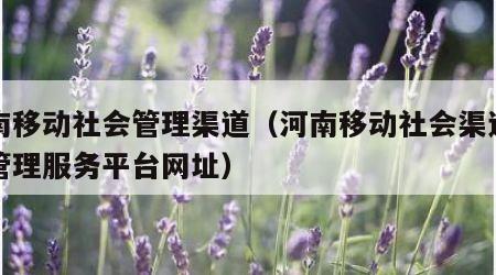 河南移动社会管理渠道（河南移动社会渠道业务管理服务平台网址）