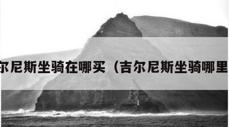 吉尔尼斯坐骑在哪买（吉尔尼斯坐骑哪里买）